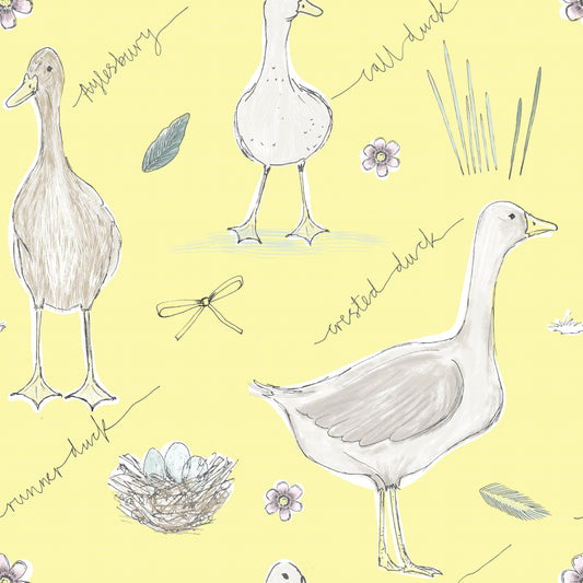 Robe Aoibheann - Country Ducks (Citron)